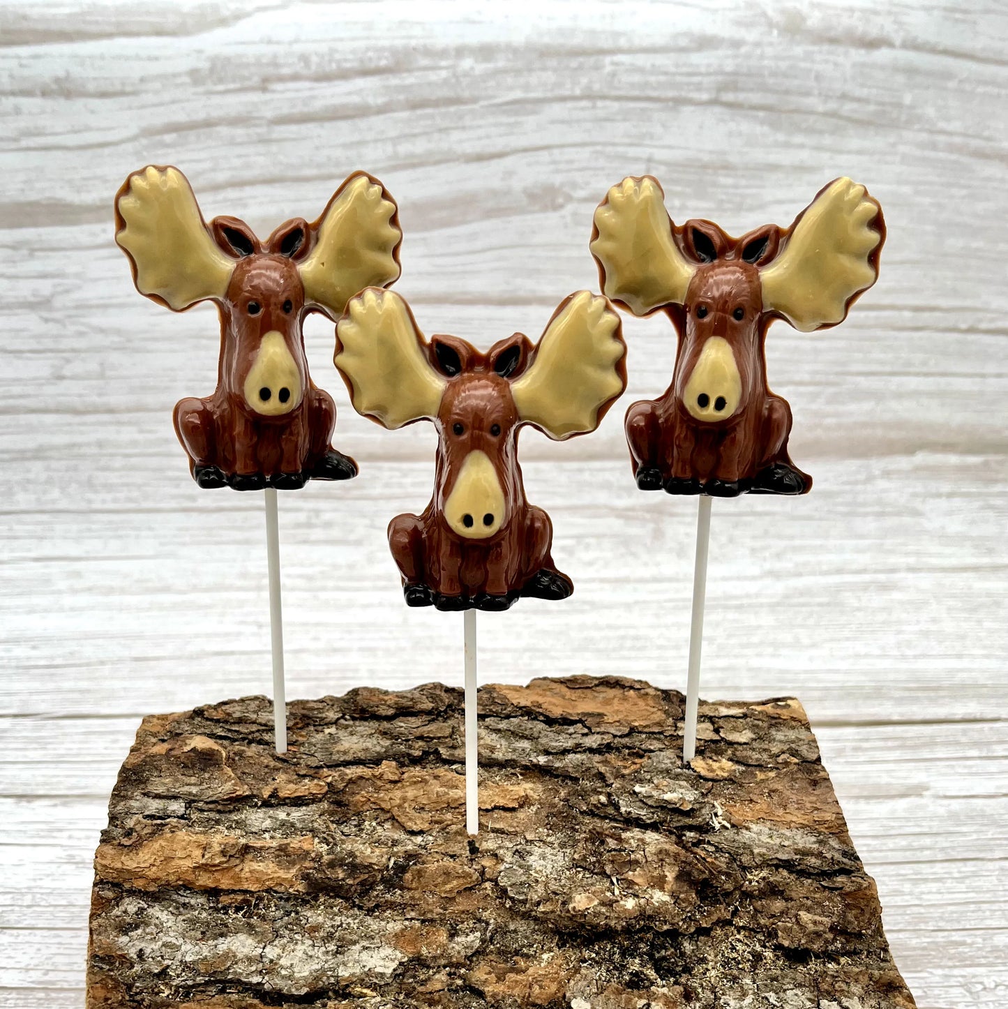 Front view of 3 chocolate brown moose suckers with big beige antlers and snouts.