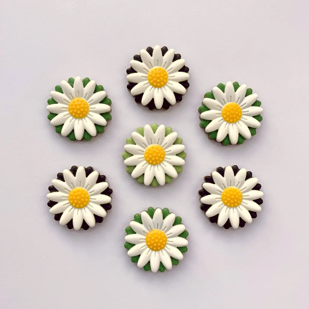 Chocolate white daisies with yellow centres, with background colours of black or green.