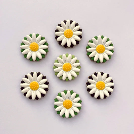 Chocolate white daisies with yellow centres, with background colours of black or green.