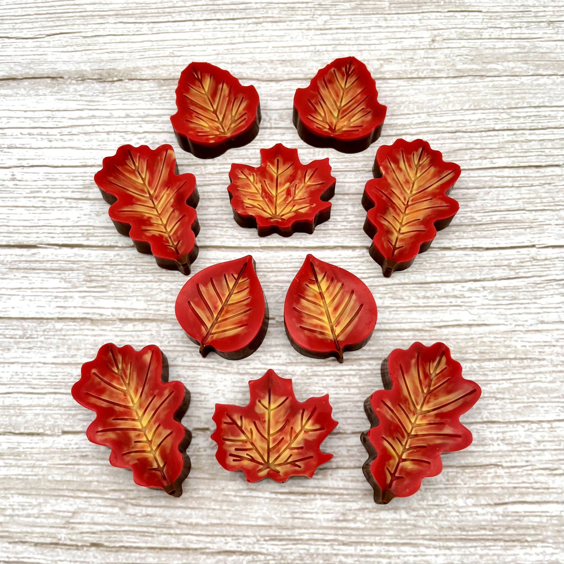 Chocolate maple, oak, ash and aspen leaves, overlaid with blended fall colours of yellow, orange and red.