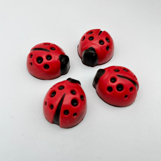 Ladybug