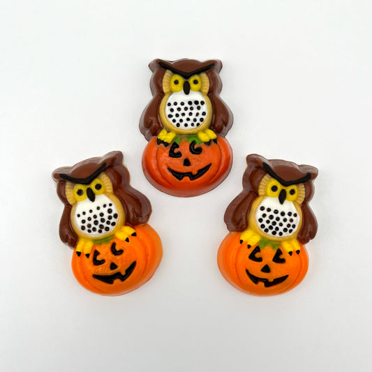 Pumpkin & Owl