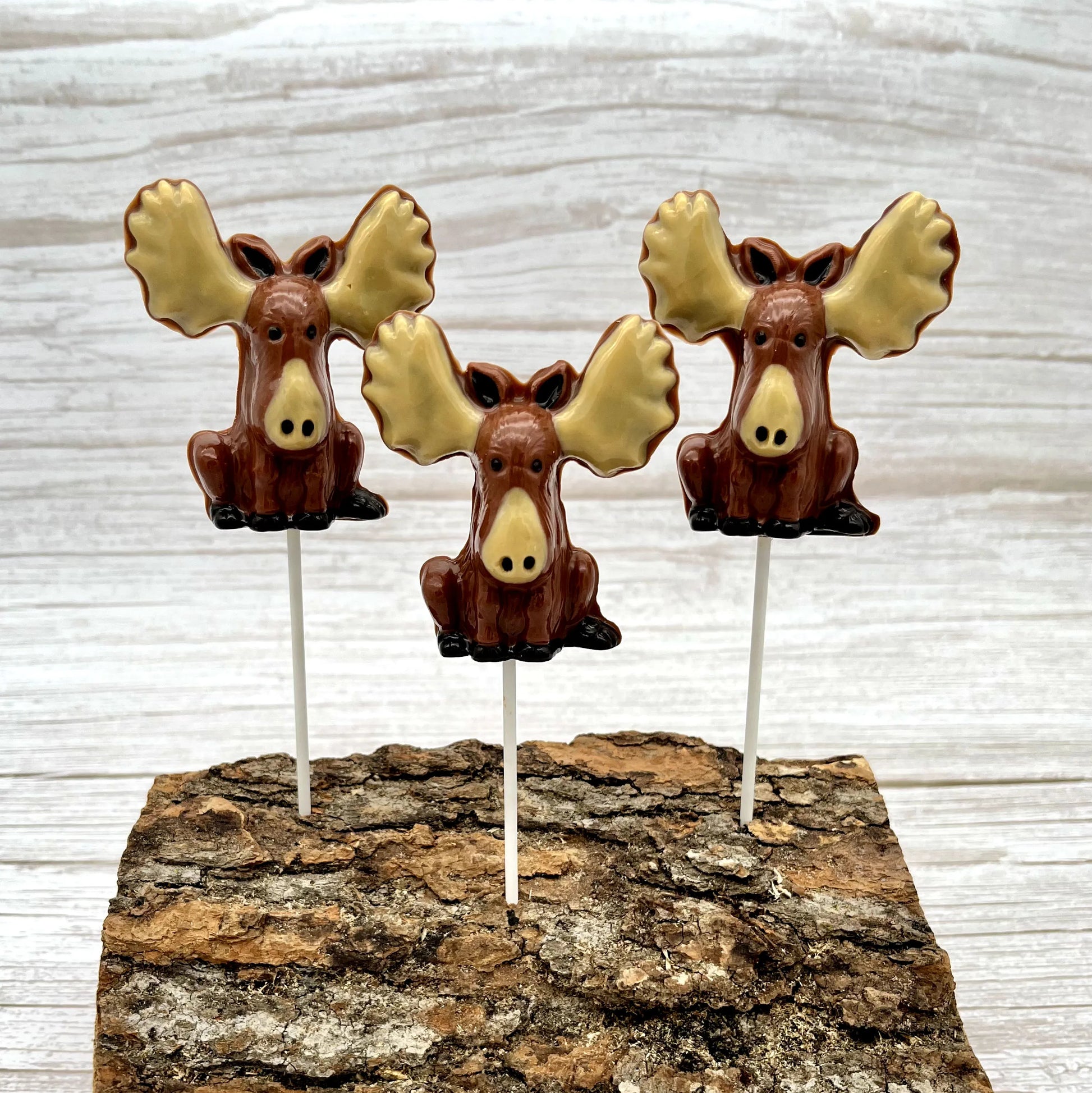Front view of 3 chocolate brown moose suckers with big beige antlers and snouts, alongside colourful red chocolate maple leaves.