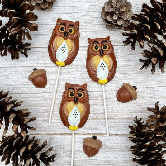 Wide-eyed chocolate owl suckers, coloured in a variety of browns, black and white. 