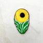 Yellow daisies with black centres, with green leaves on a clear blue background, resembling field daisies.