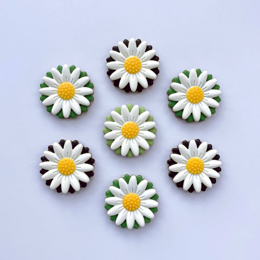 Chocolate white daisies with yellow centres, with background colours of black or green.