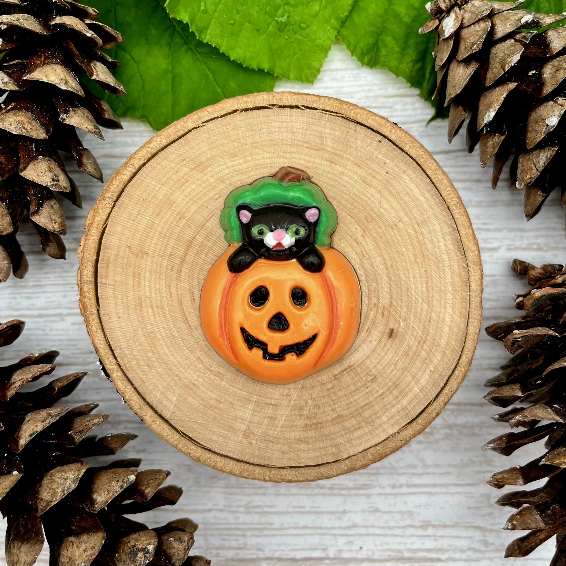 Black cat peeking over the top of a carved pumpkin, with a green gourd behind it.