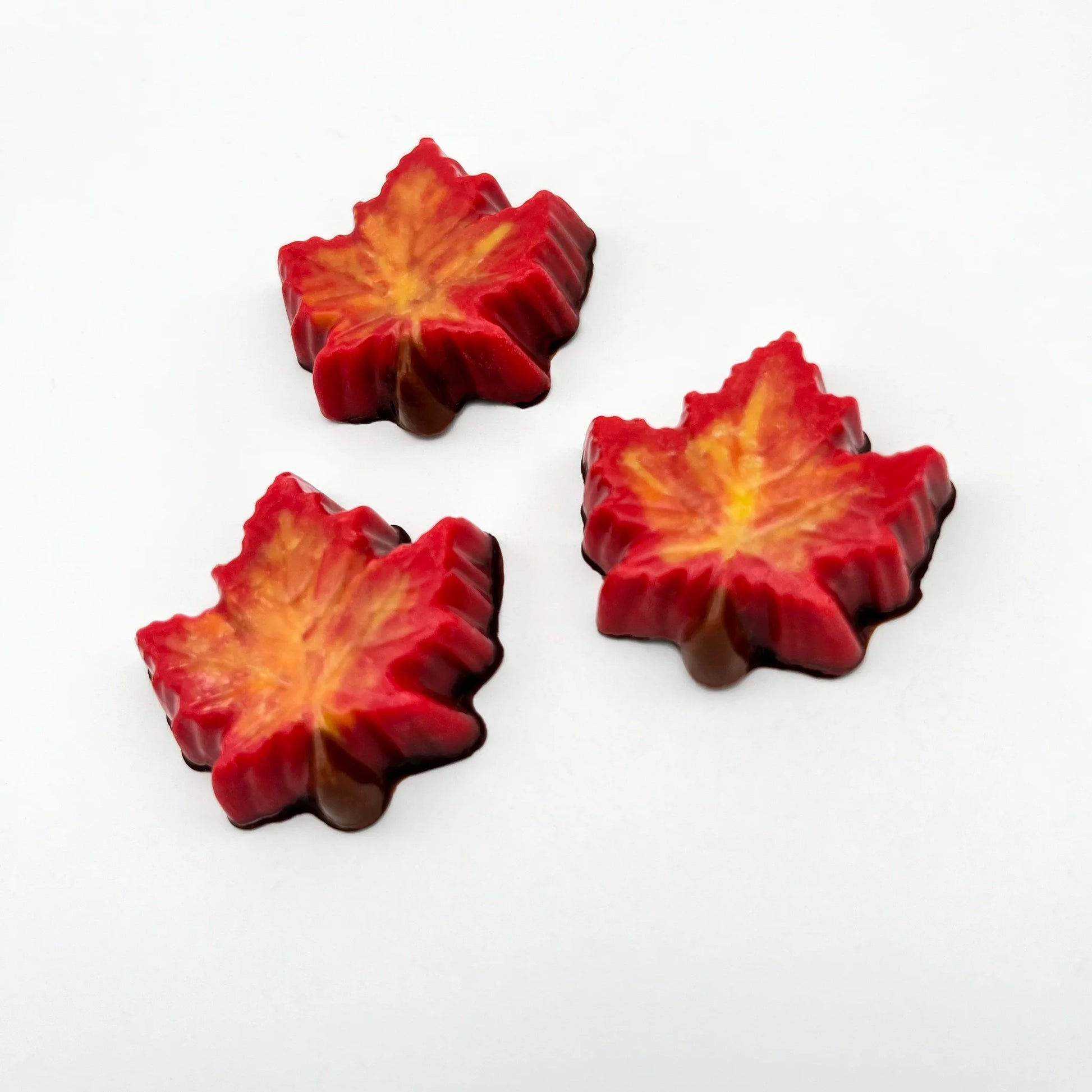 Selection of chocolate maple leaves, hand-painted in a blend of yellow, orange and red fall seasonal colours.