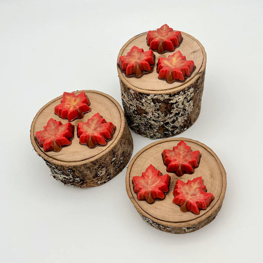 Selection of chocolate maple leaves, hand-painted in a blend of yellow, orange and red fall seasonal colours.