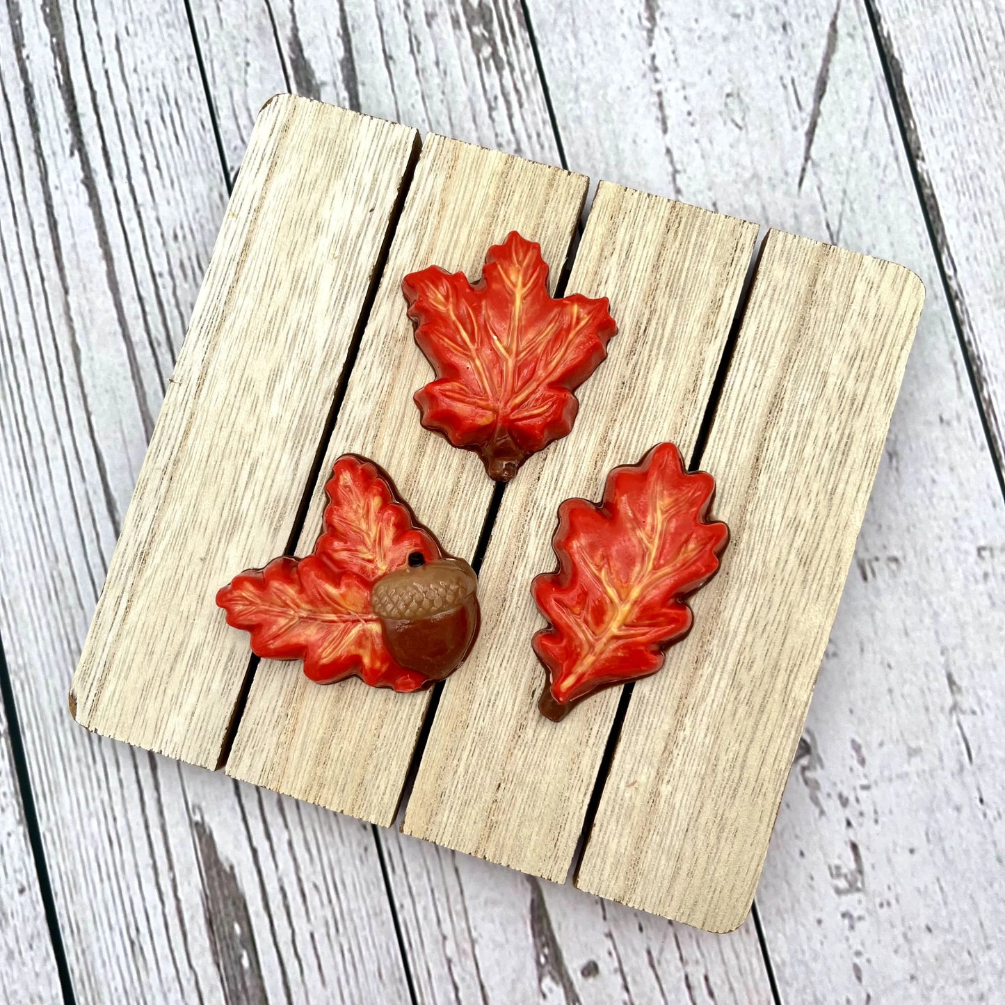 Selection of realistic chocolate maple and oak leaves, hand-painted in a blend of yellow, orange and red fall seasonal colours.