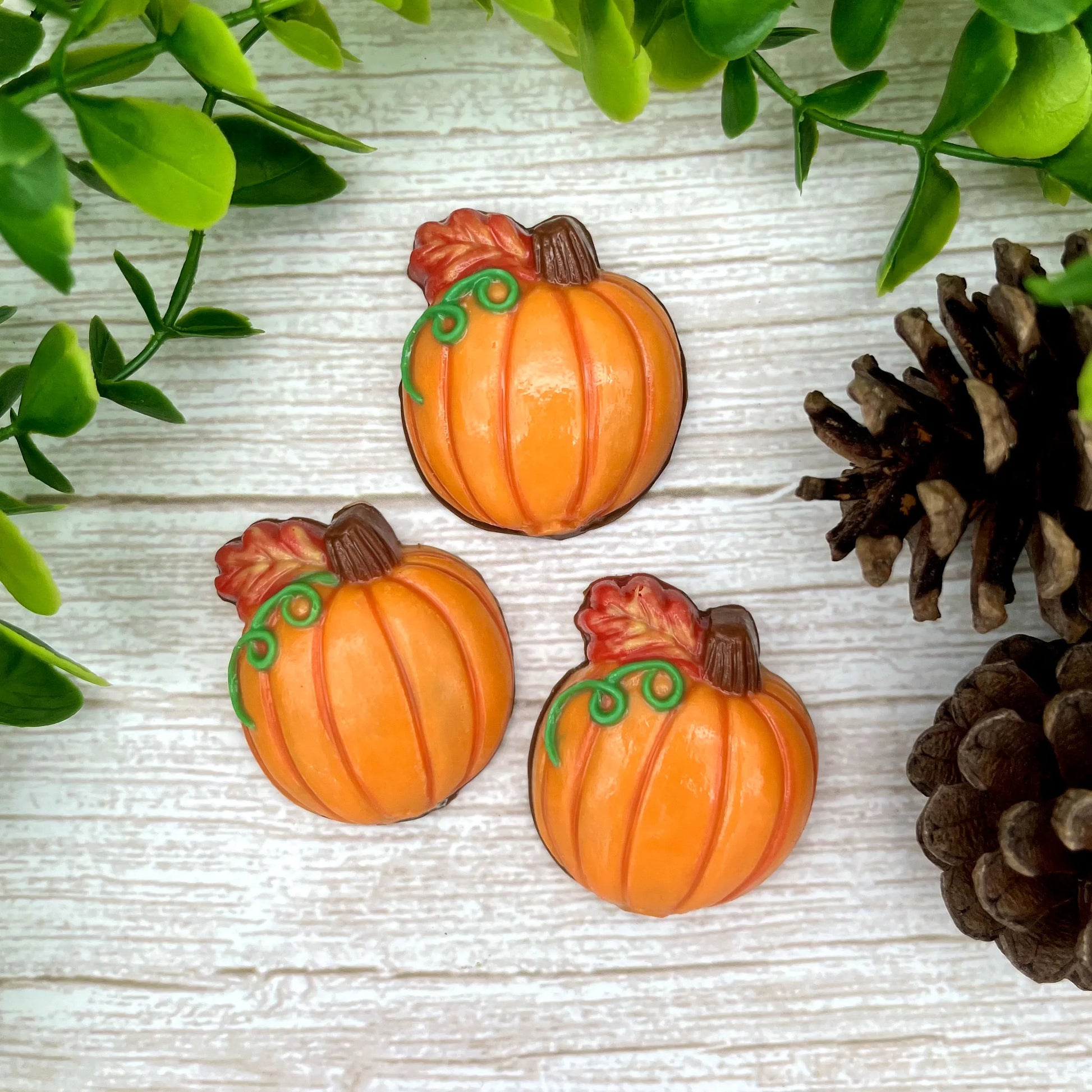 Fall-themed chocolates of seasonal orange pumpkins with green tendrils, decorated with an autumn oak leaf.