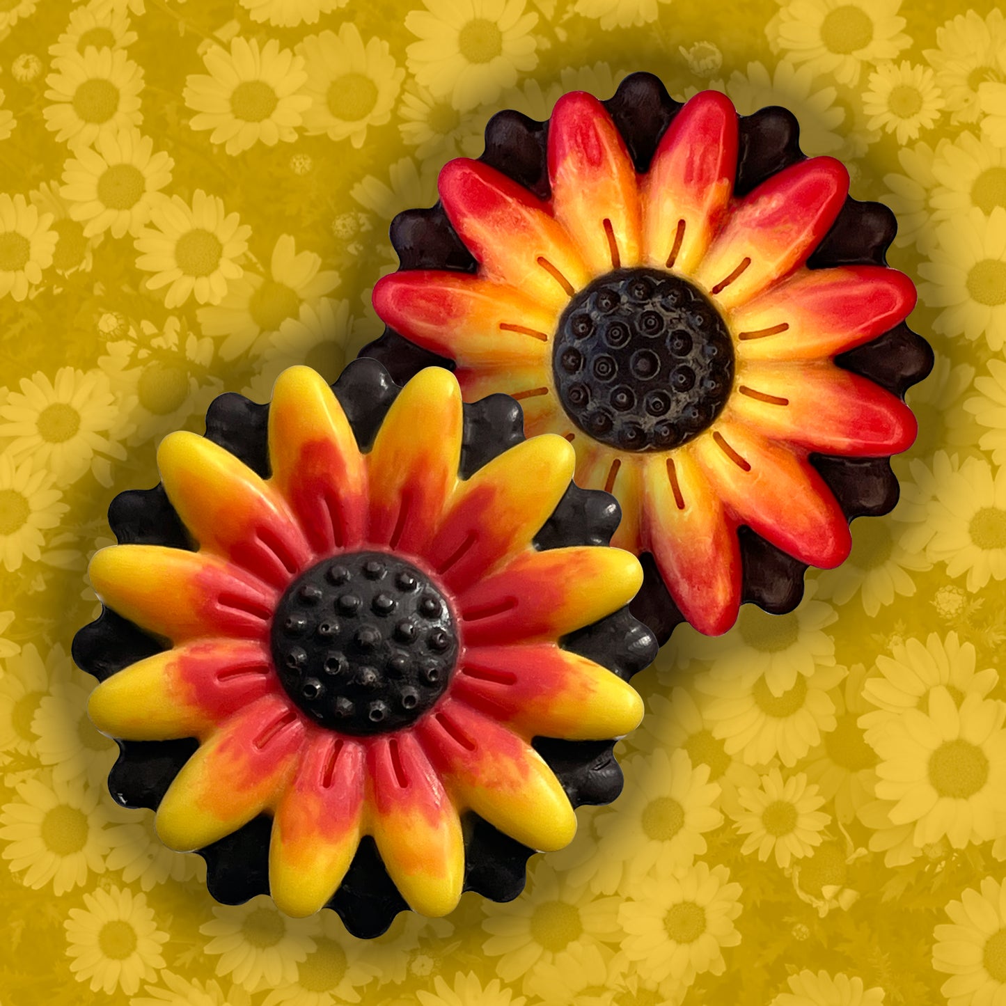 Gerbera Daisy