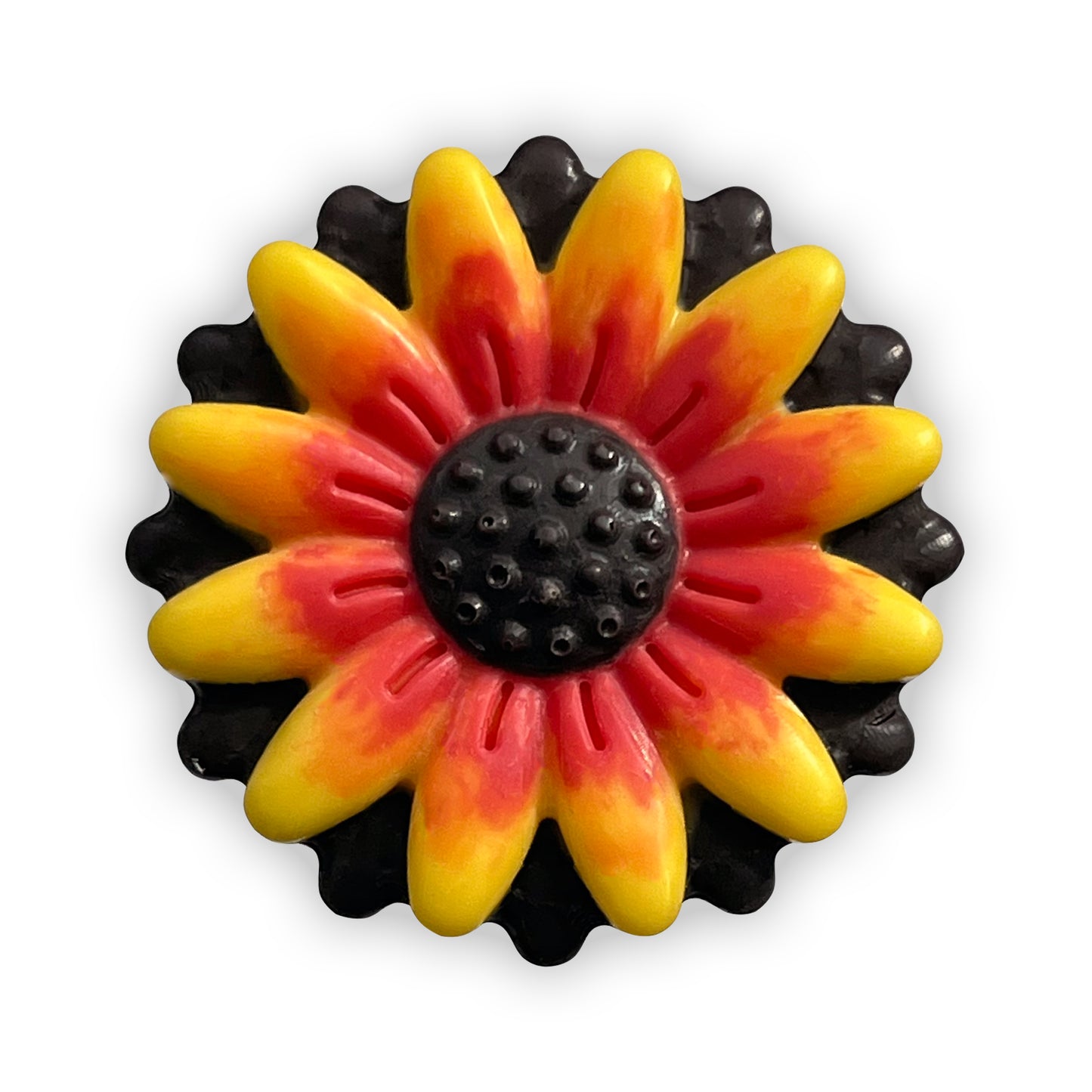Gerbera Daisy