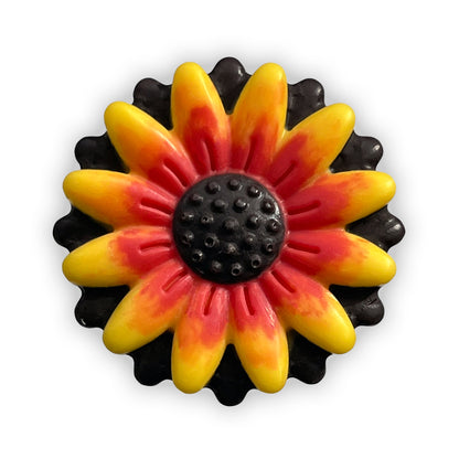 Gerbera Daisy