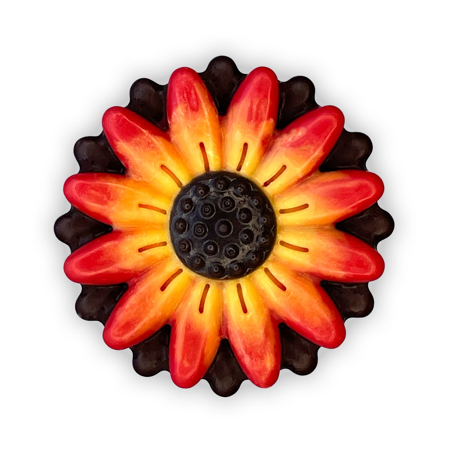 Gerbera Daisy