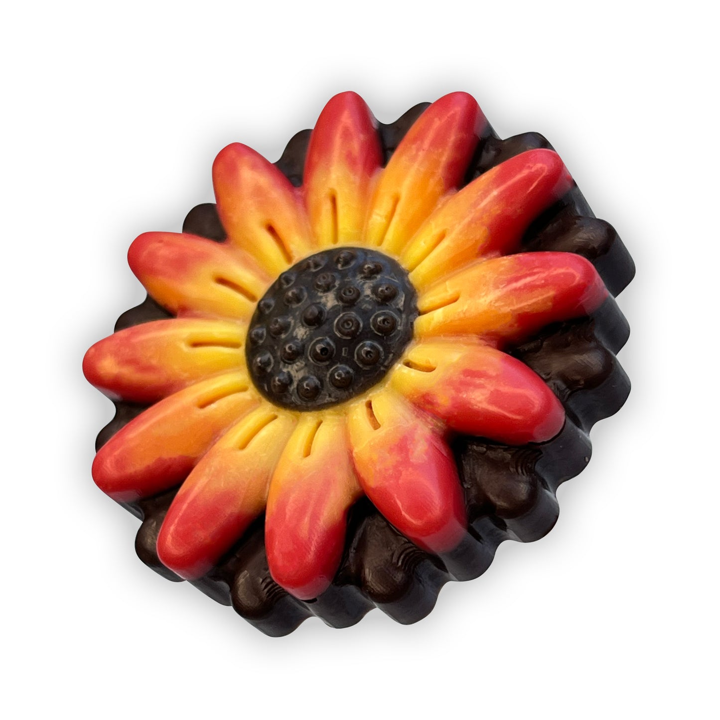 Gerbera Daisy