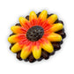 Gerbera Daisy