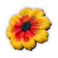 Cosmos 2-Pack