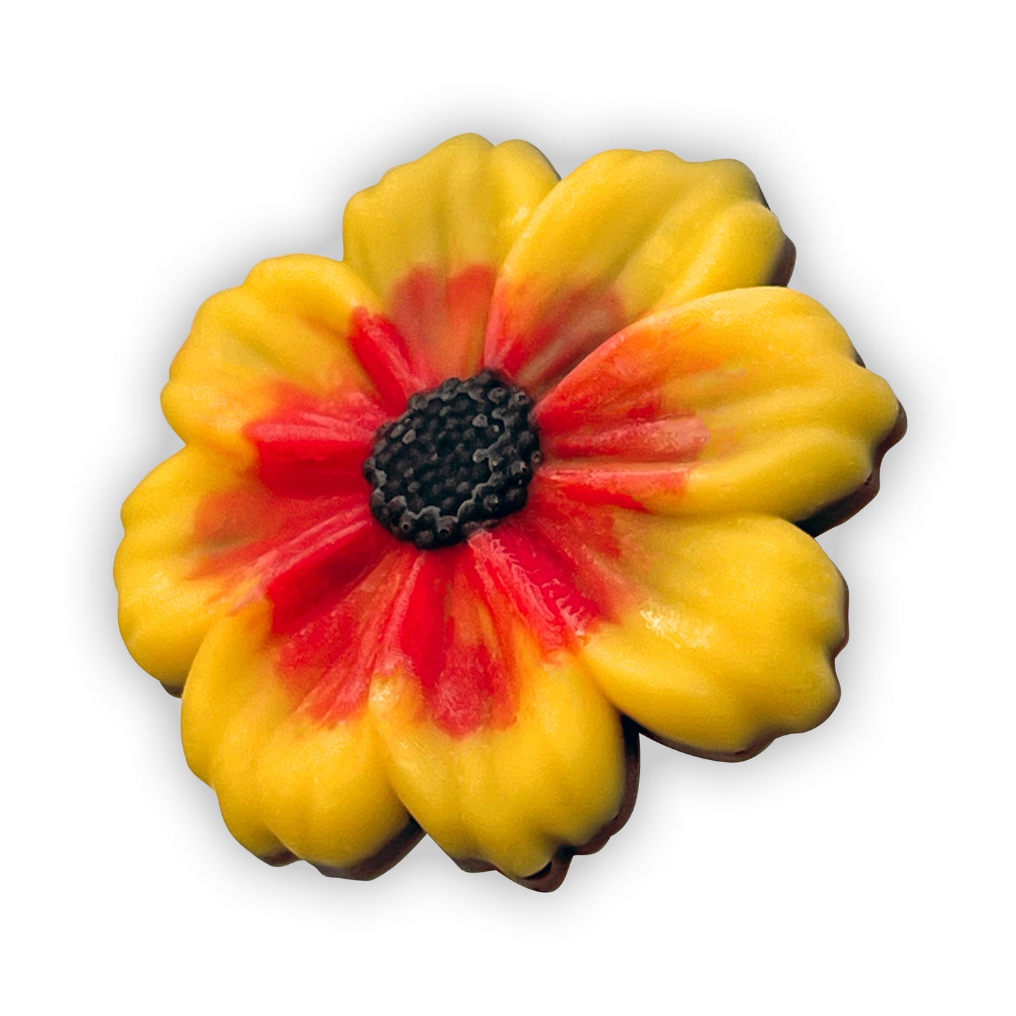 Cosmos 2-Pack